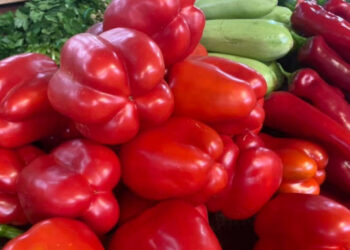 У неділю, 24 вересня, п’ять районів Києва проводять ярмарки (адреси) | Київщіна