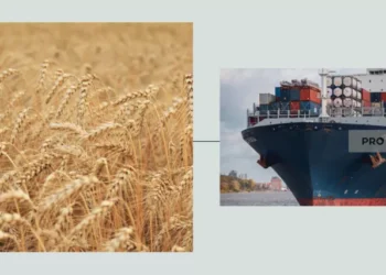 Дружбі кінець? Чому Україна судитиметься з недавніми партнерами з Євросоюзу | Економіка