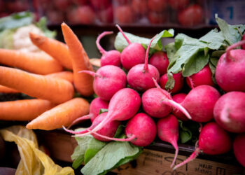 У п’ятницю, 29 вересня, вісім районів Києва проводять ярмарки (адреси) | Київщіна