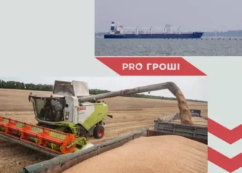 Імпорт українського зерна продовжується: перші два судна скористалися тимчасовим коридором до порту Чорноморськ | Економіка