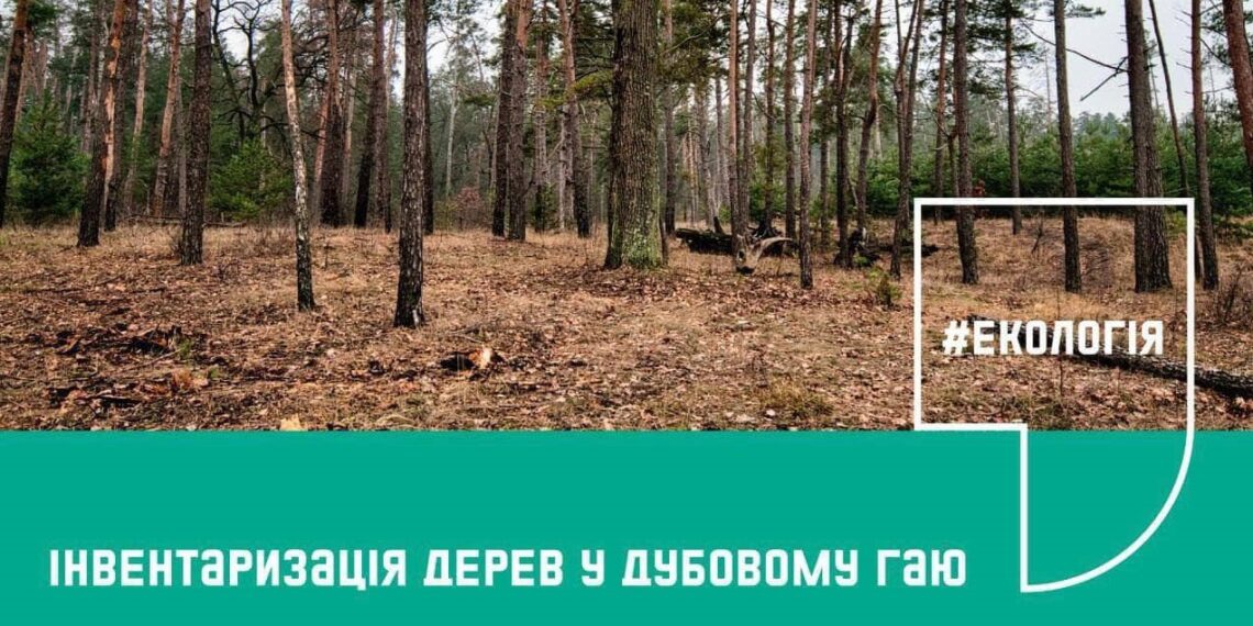 Ірпінців запрошують приєднатись до ініціативи обліку дерев у “Дубовому гаю”