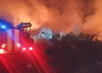 На Бориспільщині горіло сміттєзвалище (ФОТО)