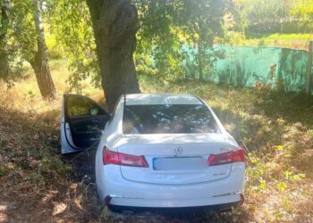 На Київщині легковик вилетів у кювет та зіткнувся з деревом