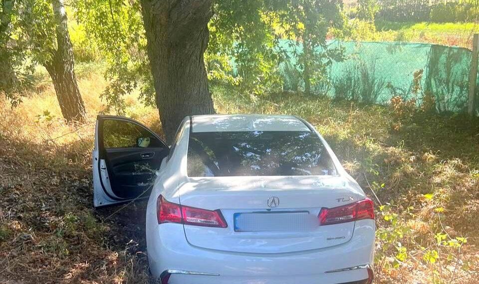 На Київщині легковик вилетів у кювет та зіткнувся з деревом