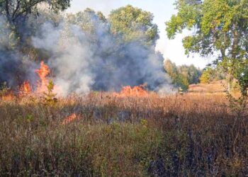 На Київщині найближчими днями спостерігатиметься пожежна небезпека