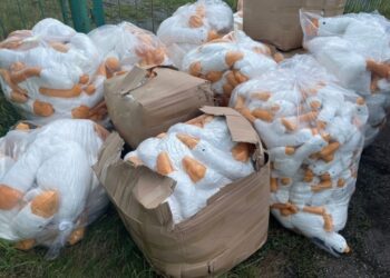 На Львівщині викрили чоловіка, який хотів ввезти іграшки як гумдопомогу – Перший львівській портал