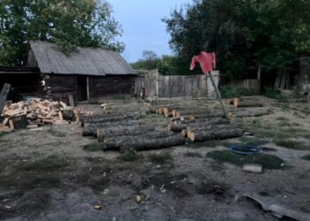 На Путивльщині поліцейські викрили чоловіка у незаконній вирубці дерев – Суми та область