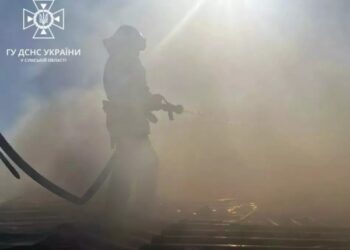 На Шосткинщині ліквідували пожежу господарчої споруди – Суми та область