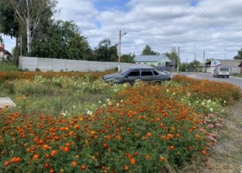 На Сумщині п’яний водій злетів на клумбу (фото) – Суми та область