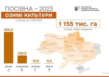 На Сумщині посіяли найбільше озимих зернових – Суми та область