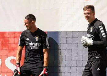 «Он первый выбор в воротах, я ему доверяю»: тренер Бенфики рассказал, сыграет ли Трубин против Зальцбурга в ЛЧ – Спорт