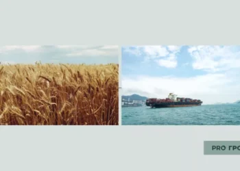 Росія з цим нічого не вдіє? Що відбувається на світовому ринку зерна вже зараз | Економіка