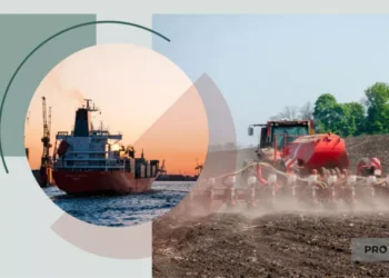 Словаччина продовжила заборону на імпорт зерна з України: що вплинуло на рішення уряду | Економіка