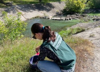 Стали відомі результати лабораторних досліджень поверхневих вод сумських водойм – Суми та область