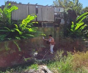 У Миколаєві перевірили дотримання правил благоустрою » Новини Миколаїва