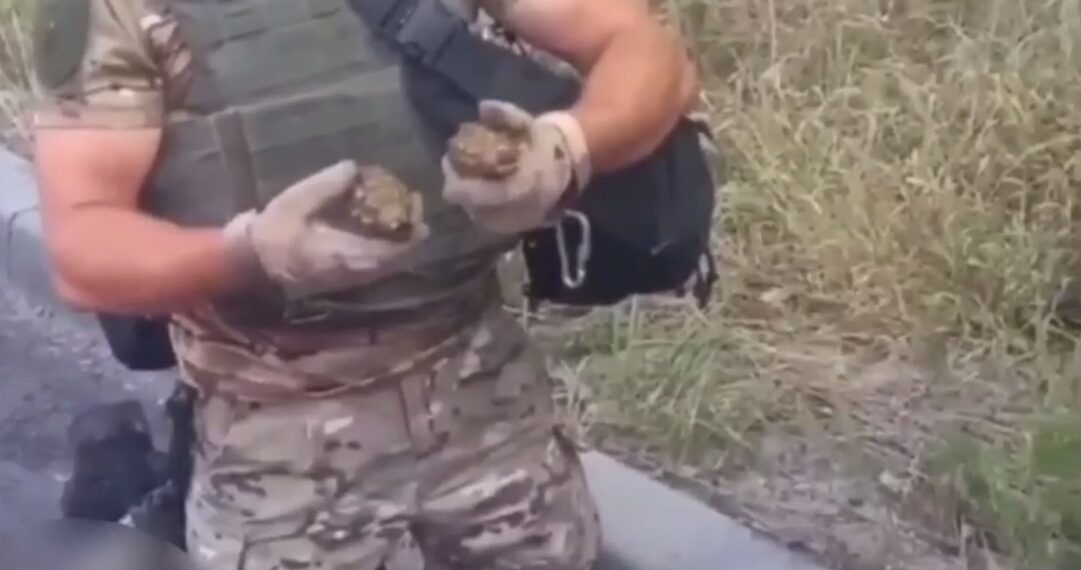 У п’яного водія з Переяслава знайшли п’ять гранат і патрони