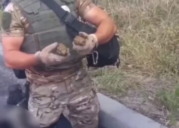 У п’яного водія з Переяслава знайшли п’ять гранат і патрони