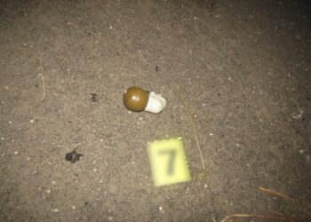 У Золочівській ОТГ здетонувала граната: загинув чоловік (ФОТО)