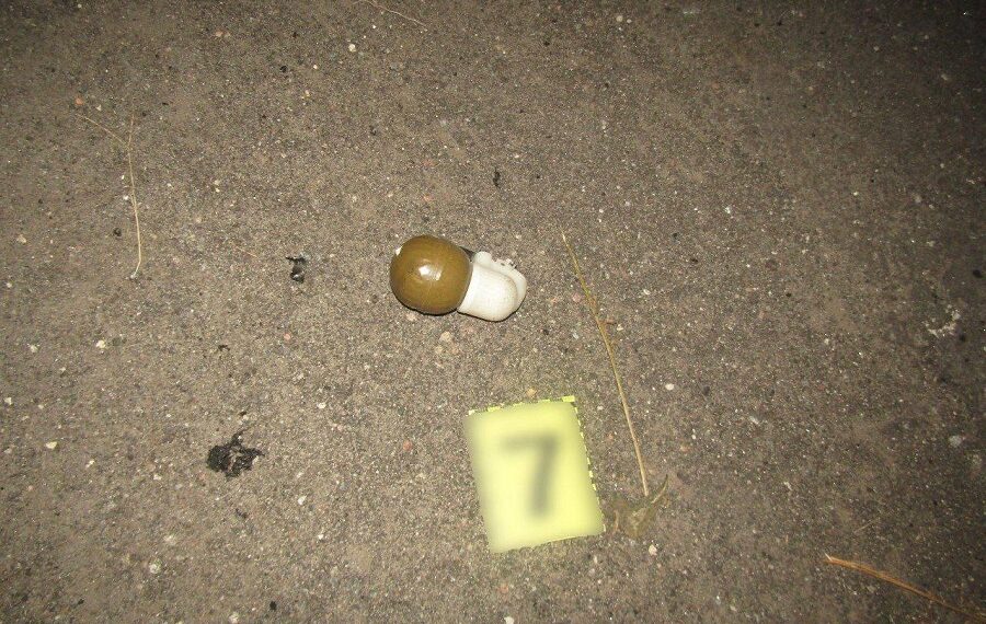 У Золочівській ОТГ здетонувала граната: загинув чоловік (ФОТО)