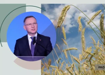 Українське зерно таки опиниться в Польщі? Якою заявою здивував Анджей Дуда | Економіка