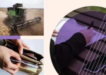 В Україні хочуть підвищити вартість оренди землі: скільки доведеться платити | Економіка