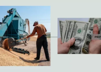 ЄС вимагає продовжити заборону на експорт зерна — який “бонус” отримає Україна | Економіка