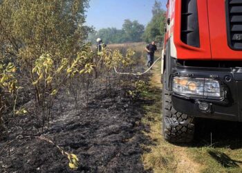 За минулу добу на Броварщині ліквідували дві пожежі в екосистемах (ФОТО)