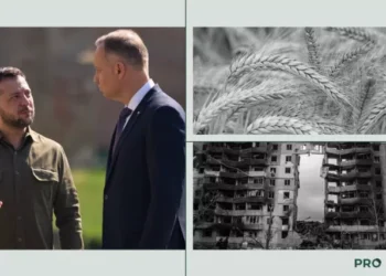 Зернові протиріччя – який вплив на економіку України та чого чекати від Польщі  | Економіка