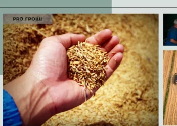 Аграрії потирають руки? На якій культурі вдасться заробити 12 жовтня | Економіка