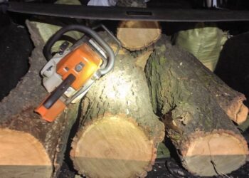 Бориспільські патрульні виявили водія з деревиною підозрілого походження