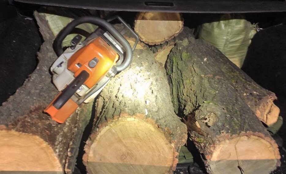 Бориспільські патрульні виявили водія з деревиною підозрілого походження