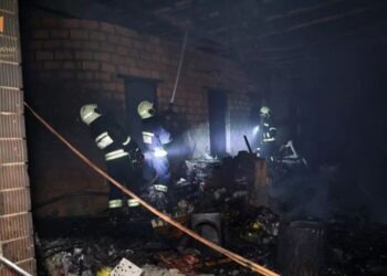 Дніпровські вогнеборці ліквідували займання на приватному подвірї