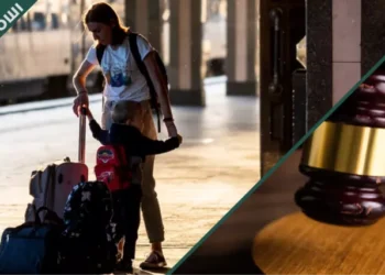 Додаткова безоплатна допомога для ВПО: перелік послуг  | Економіка