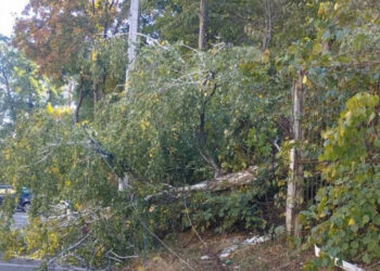 На Київщині знеструмлення внаслідок негоди фіксуються у п’яти районах | Київщіна