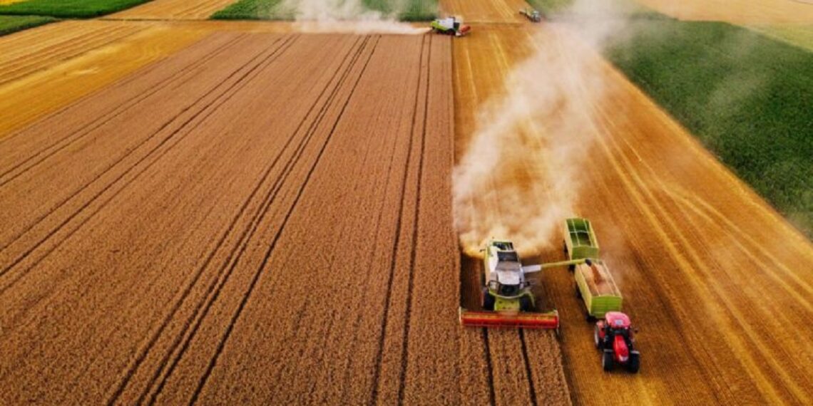 Фастів Агро жнивує та проводить виплату орендної плати на Київщині