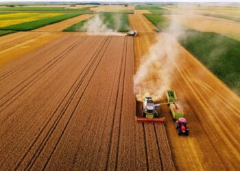 Фастів Агро жнивує та проводить виплату орендної плати на Київщині