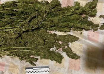 Літнього жителя Путивльщини викрили у зберіганні наркотиків – Суми та область