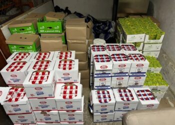 Мешканка Львівщини намагалася незаконно ввезти з-за кордону дві тонни сиру – Перший львівській портал