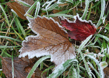 На Київщині очікуються перші осінні заморозки