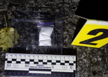 На Конотопщині за добу викрили п’ять наркозлочинців – Суми та область