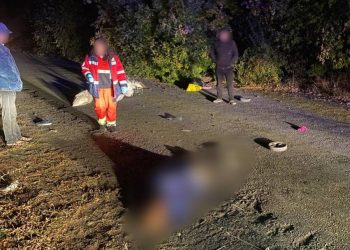 На Обухівщині водій легковика збив на смерть жінку та втік (ФОТО)