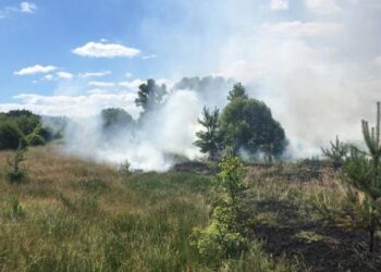 На Сумщині протягом дня зафіксовано 116 вибухів – Суми та область