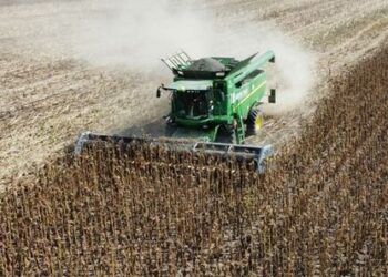 Негода завдала збитків аграріям Шосткинщини – Суми та область