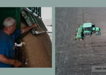 Підловили на брехні: яку заяву зробили у Кабміні щодо українського зерна у Польщі | Економіка