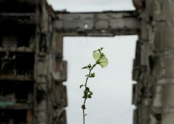 Програма розвитку ООН допоможе відновити пів сотні будинків на Київщині – Перший львівській портал