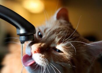 Результати досліджень води на Дніпровщині