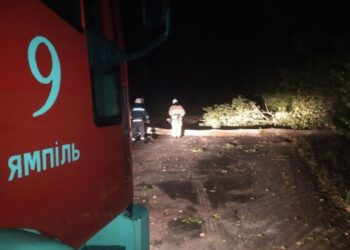 Рятувальники допомагали ліквідовувати наслідки негоди у Шосткинському районі – Суми та область