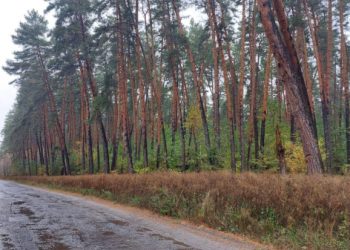 Територія забруднена та закрита для відвідування: якої шкоди завдає війна Гетьманському національному парку – Суми та область