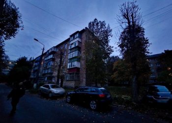 У Броварах застрелили собаку: поліція розпочала кримінальне провадження