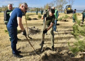 У четвер, 26 жовтня у Миколаєві відбулась акція з озеленення » Новини Миколаїва